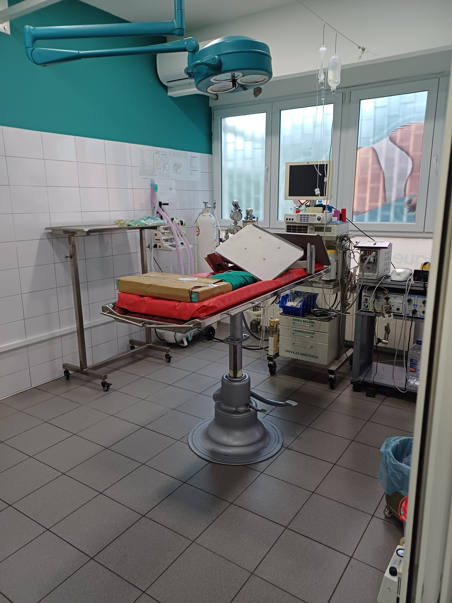 VDC — Veterinarska Ambulanta — slika 2