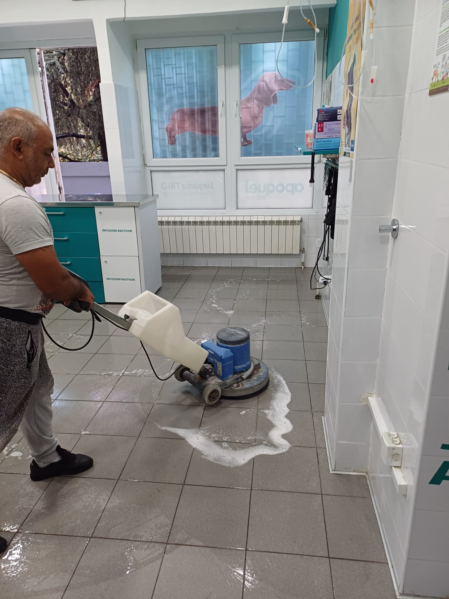 VDC — Veterinarska Ambulanta — slika 1