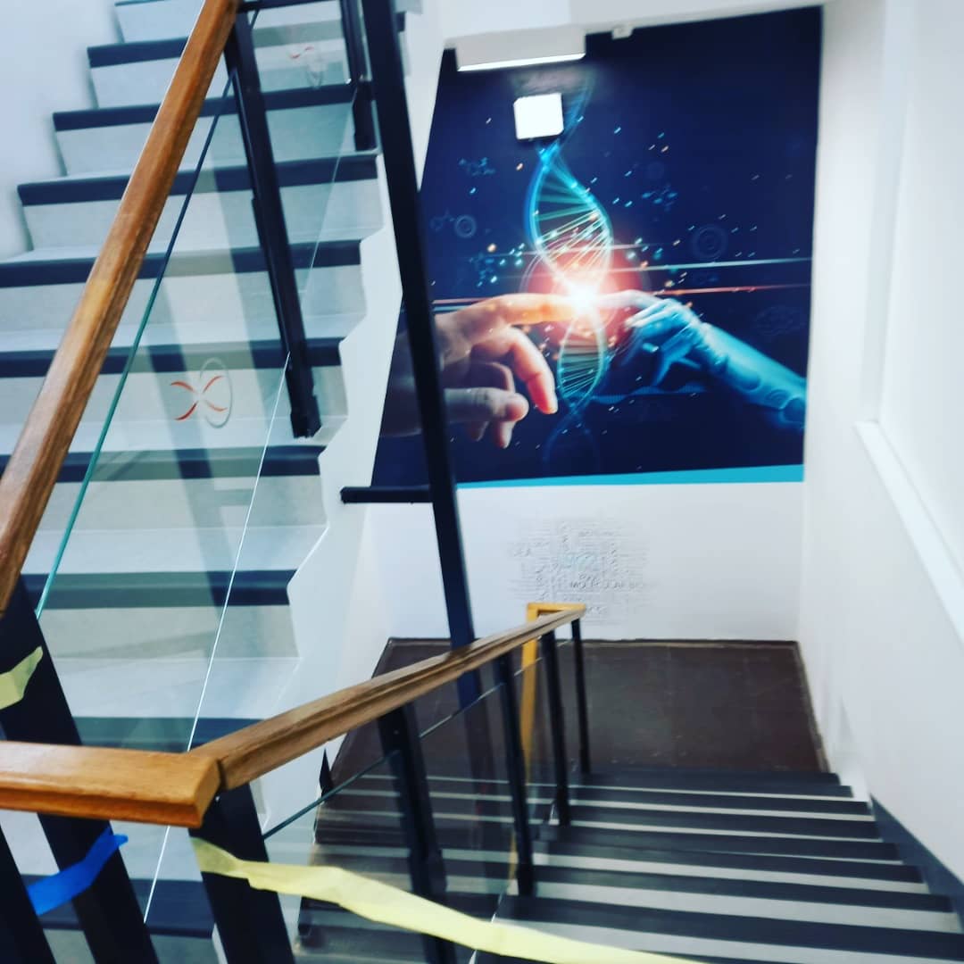 Institut za virusologiju — Torlak — slika 9